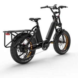 Bezior X500MAX Vélo de montagne électrique