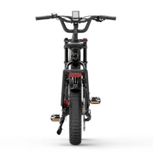 Bezior X500MAX Vélo de montagne électrique