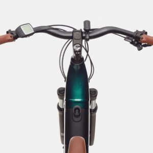 Cannondale Adventure Neo 1 EQ