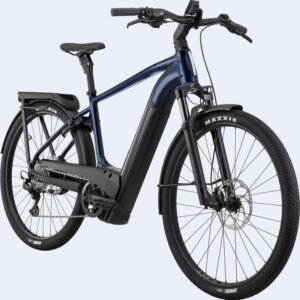 Cannondale Tesoro Neo X 1
