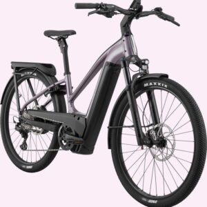Cannondale Tesoro Neo X 1 StepThru