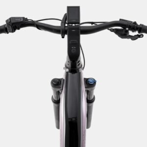 Cannondale Tesoro Neo X 1 StepThru