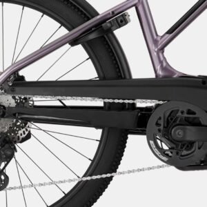 Cannondale Tesoro Neo X 1 StepThru