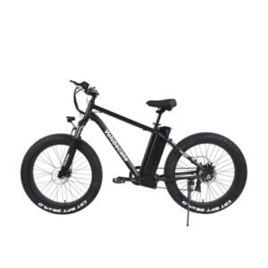 Vélo électrique VTT fatbike Velobecane Fatbike
