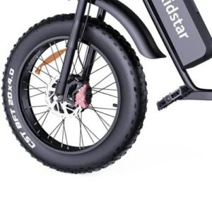 Electric bike Ridstar Q20 PRO 52V (2000W Dual Motor) 40AH Battery
