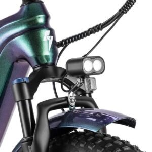 Fafrees F20 Master 500W 20" Fat Bike VTC électrique