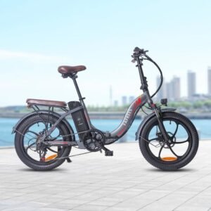 Fafrees F20 Pro 250W 20" Vélo électrique pliant
