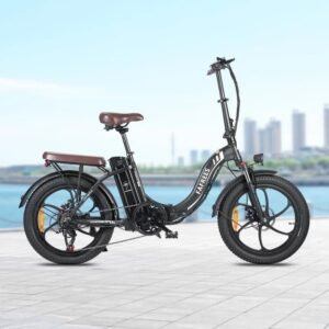 Fafrees F20 Pro 250W 20" Vélo électrique pliant
