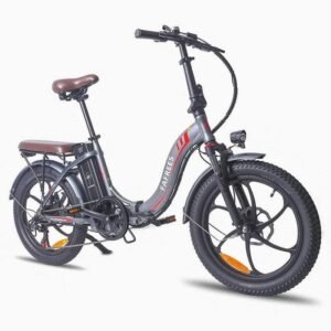 Fafrees F20 Pro 250W 20" Vélo électrique pliant