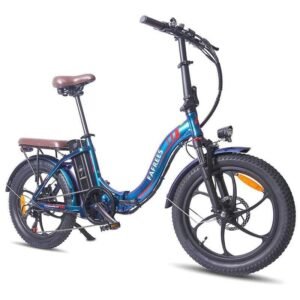 Fafrees F20 Pro 250W 20" Vélo électrique pliant