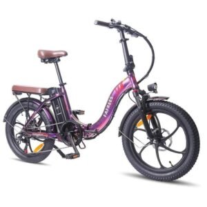 Fafrees F20 Pro 250W 20" Vélo électrique pliant