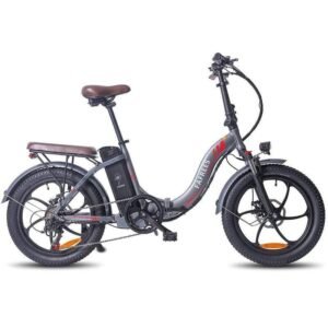 Fafrees F20 Pro 250W 20" Vélo électrique pliant
