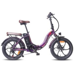 Fafrees F20 Pro 250W 20" Vélo électrique pliant