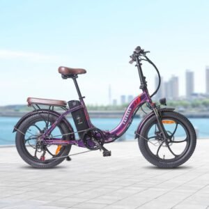 Fafrees F20 Pro 250W 20" Vélo électrique pliant