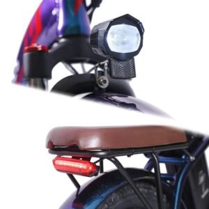Fafrees F20 Pro 250W 20" Vélo électrique pliant