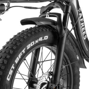 Fafrees F20 X-Max 750W 20" Fat Bike électrique Pliable