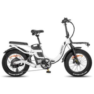 Fafrees F20 X-Max 750W 20" Fat Bike électrique Pliable