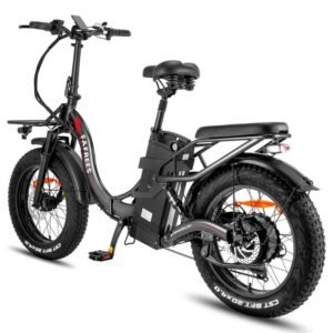 Fafrees F20 X-Max 750W 20" Fat Bike électrique Pliable