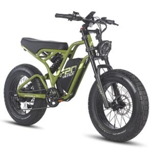 Fafrees F20 ultra 750W 20" Fat Bike