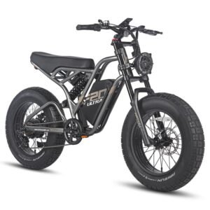 Fafrees F20 ultra 750W 20" Fat Bike