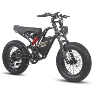 Fafrees F20 ultra 750W 20" Fat Bike