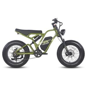 Fafrees F20 ultra 750W 20" Fat Bike