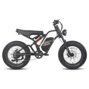 Fafrees F20 ultra 750W 20" Fat Bike