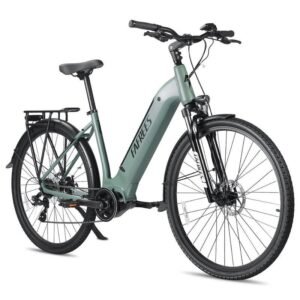 Fafrees FM9 250W 700C 45C VTC Électrique