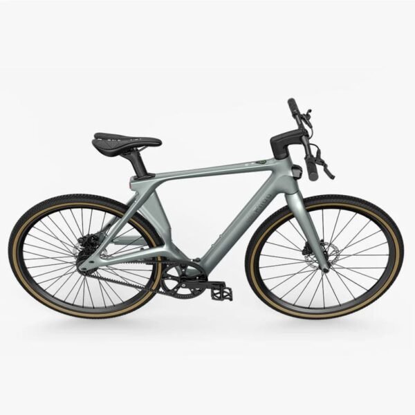 Fiido Air Vélo électrique Carbone – Image 2