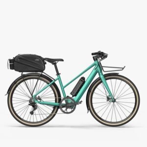 Fiido C22 Gravel Vélo électrique