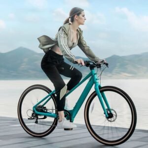 Fiido C22 Gravel Vélo électrique