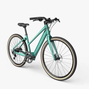 Fiido C22 Gravel Vélo électrique