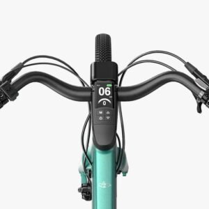 Fiido C22 Gravel Vélo électrique