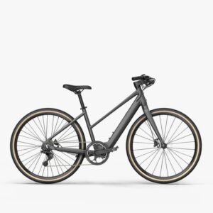 Fiido C22 Gravel Vélo électrique