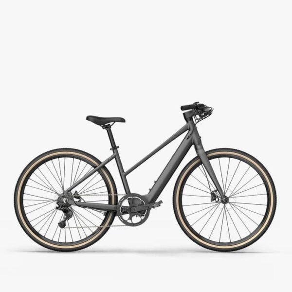 Fiido C22 Gravel Vélo électrique – Image 2