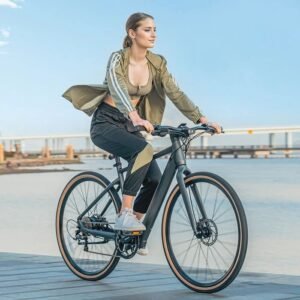 Fiido E-Gravel C21 vélo électrique