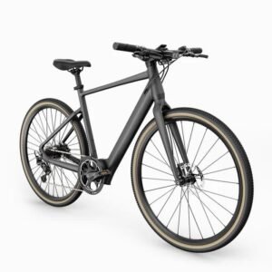 Fiido E-Gravel C21 vélo électrique