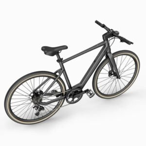Fiido E-Gravel C21 vélo électrique