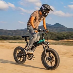 Fiido M1 Pro Vélo électrique Vtt Fatbike Cargo