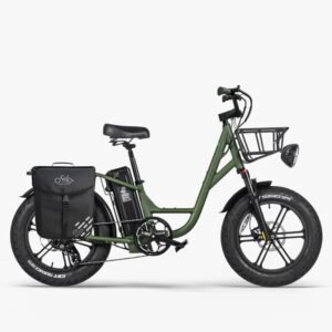 Fiido T1 Pro Vélo électrique Cargo