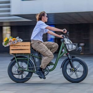 Fiido T1 Pro Vélo électrique Cargo