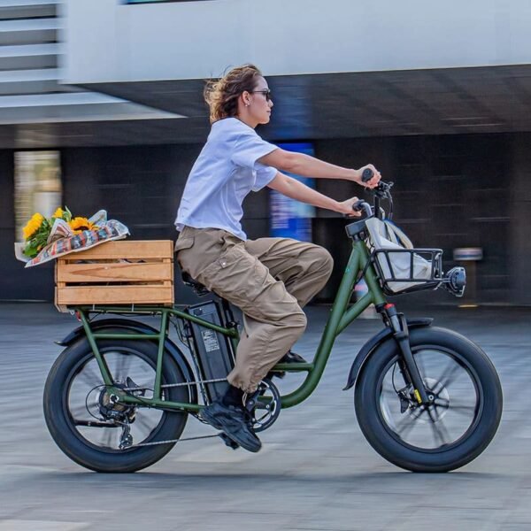 Fiido T1 Pro Vélo électrique Cargo – Image 5