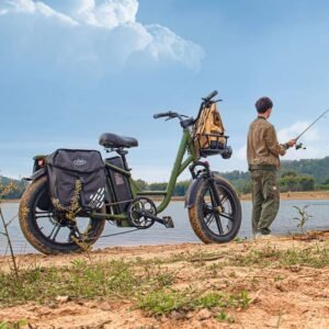 Fiido T1 Pro Vélo électrique Cargo