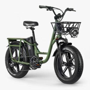 Fiido T1 Pro Vélo électrique Cargo