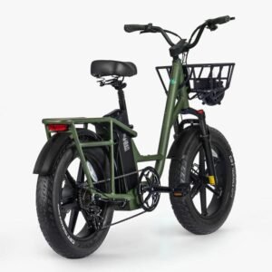 Fiido T1 Pro Vélo électrique Cargo