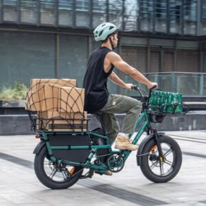 Fiido T2 Vélo électrique Longtail Fatbike Cargo