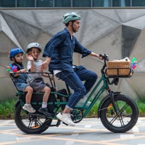 Fiido T2 Vélo électrique Longtail Fatbike Cargo