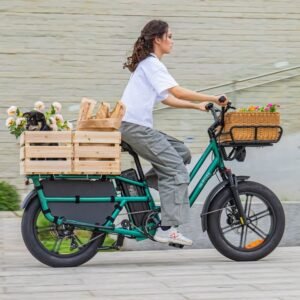 Fiido T2 Vélo électrique Longtail Fatbike Cargo