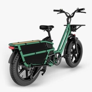 Fiido T2 Vélo électrique Longtail Fatbike Cargo