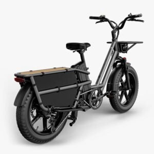 Fiido T2 Vélo électrique Longtail Fatbike Cargo
